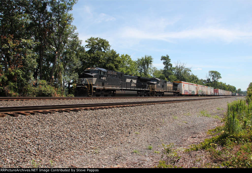 NS 4463 leads train 39G